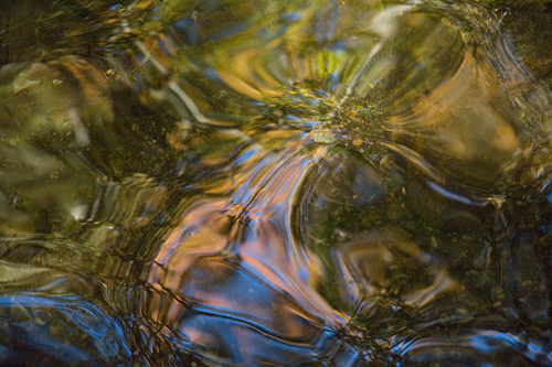 Joanna Gabler. Reflections