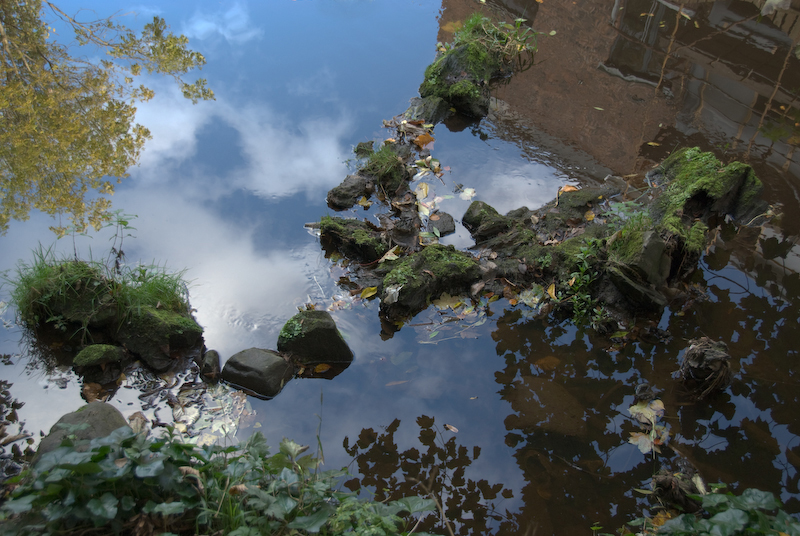 Michael Miller, Stones in Leith